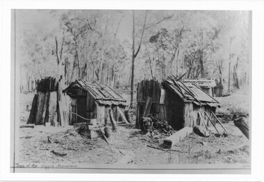 Photograph - B/W, C 1898