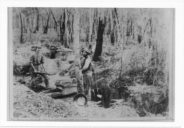 Photograph - B/W, C 1887