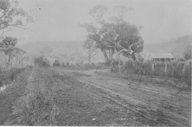 Photograph - B/W, C 1900