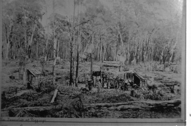 Photograph - B/W, C 1887