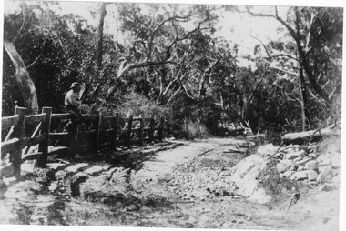 Photograph - B/W, C 1871