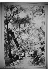 Photograph - Sepia, C 1898