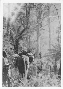 Photograph - B/W, C 1890