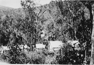 Photograph - Sepia, C 1920s