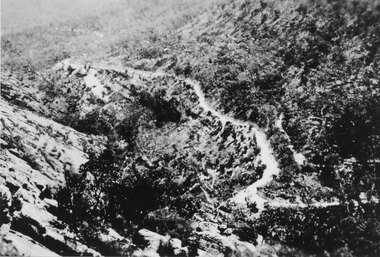 Photograph - Sepia, C 1930s