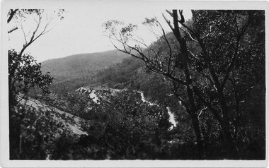 Postcard - Sepia, C 1920s