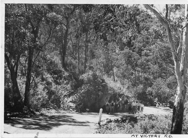 Photograph - B/W, C 1930s-1940s