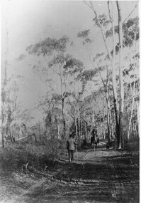 Photograph - B/W, C 1890s