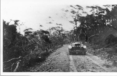 Photograph - B/W, C 1926