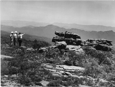 Photograph - B/W, C 1960s