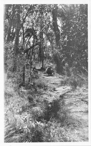 Photograph - B/W
