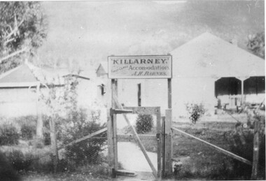 Photograph - B/W, C 1918