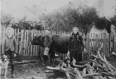Photograph - Sepia, C 1891