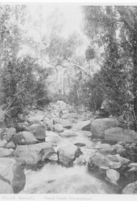 Photograph - B/W