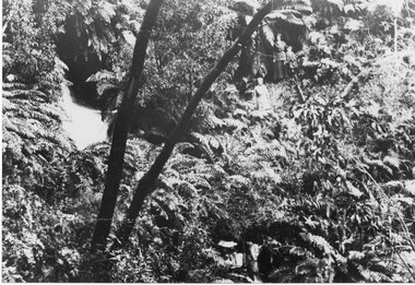 Photograph - B/W, C 1900s