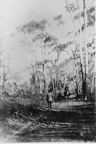 Photograph - B/W, C 1880s