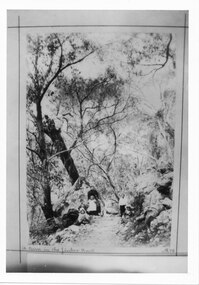 Photograph - B/W, C 1898