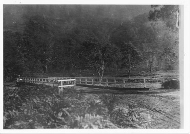 Photograph, C 1911