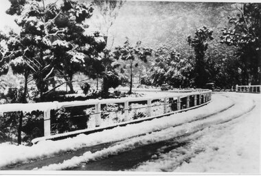 Photograph - B/W, C 1940