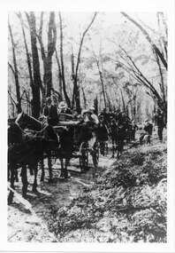 Photograph - B/W, C 1900