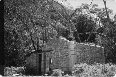 Photograph - Coloured, 1956