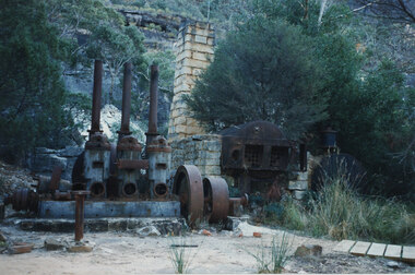 Photograph - Coloured, C 1960s