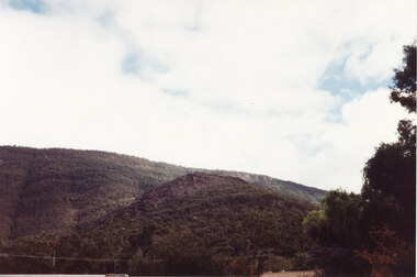 Photograph - Coloured