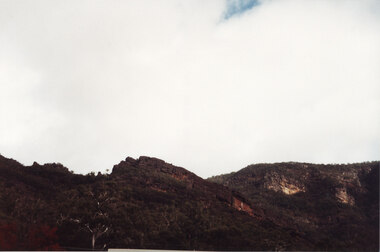 Photograph - Coloured
