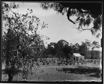 Photograph - B/W, C 1900s