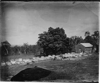 Photograph - B/W