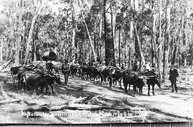 Photograph - B/W, C 1910
