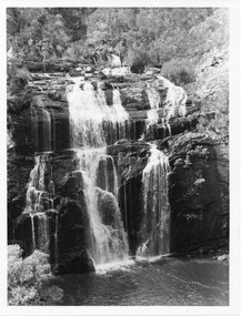 Photograph - B/W