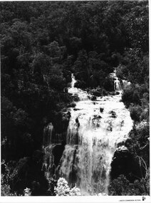 Photograph - B/W, C 1960s