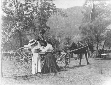 Photograph, C 1900s