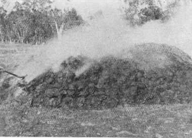 Photograph - B/W, C 1919-1920
