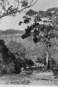 Photograph - B/W, C ?