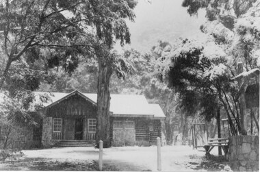 Photograph - B/W