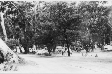 Photograph - B/W