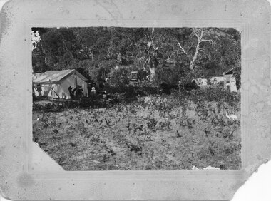 Photograph - B/W