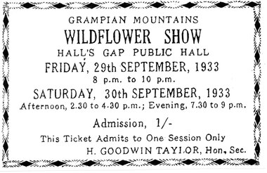 Document - Ticket (B/W), C 1933
