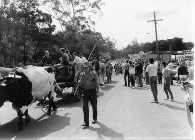 Photograph - B/W, Oct-86