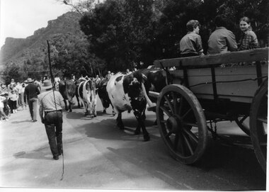 Photograph - B/W, Oct-86