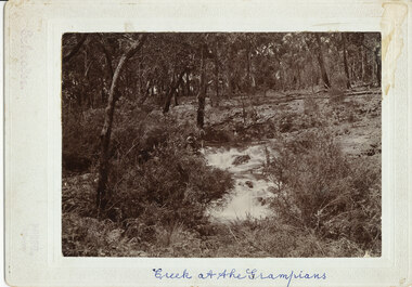 Photograph - Sepia, C 1890