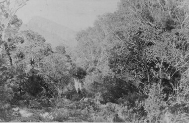 Photograph - Sepia