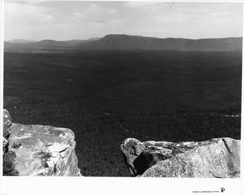 Photograph - B/W, C 1960s (?)