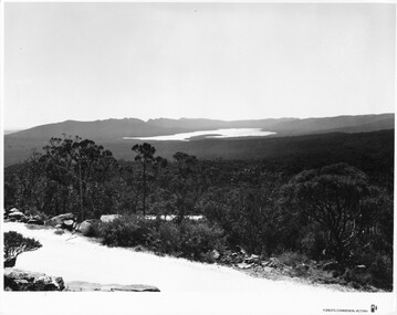 Photograph - B/W, C 1960s (?)