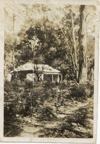 Photograph - Sepia, C 1930s - 1940s (?)