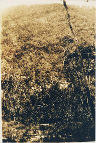 Photograph - Sepia