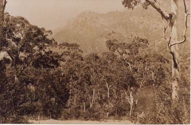Photograph - Sepia
