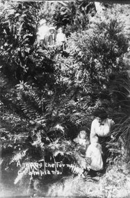 Photograph - B/W, C 1900s (?)